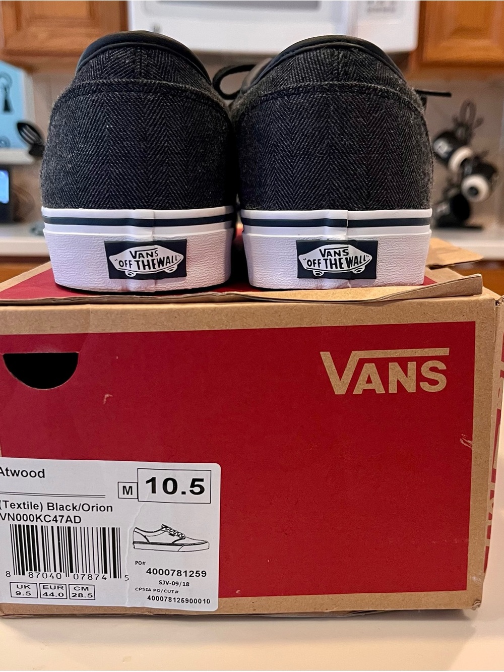 Vans Atwood Low Top Sneakers in Black